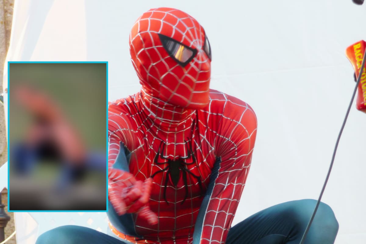 Naturaleza sorprendente: Largarto con mucha similitud a Spiderman se vuelve viral, mira como es