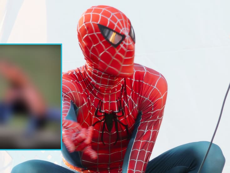 Naturaleza sorprendente: Largarto con mucha similitud a Spiderman se vuelve viral, mira como es