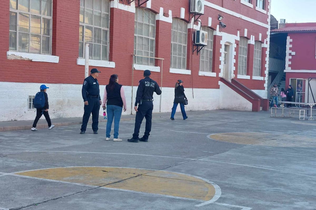 Retiran panal de abejas de escuela primaria de Nogales