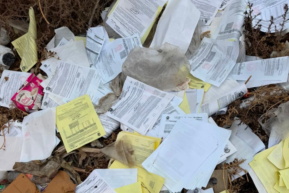 Investigan a trabajador de Ayuntamiento de Ensenada por documentos tirados