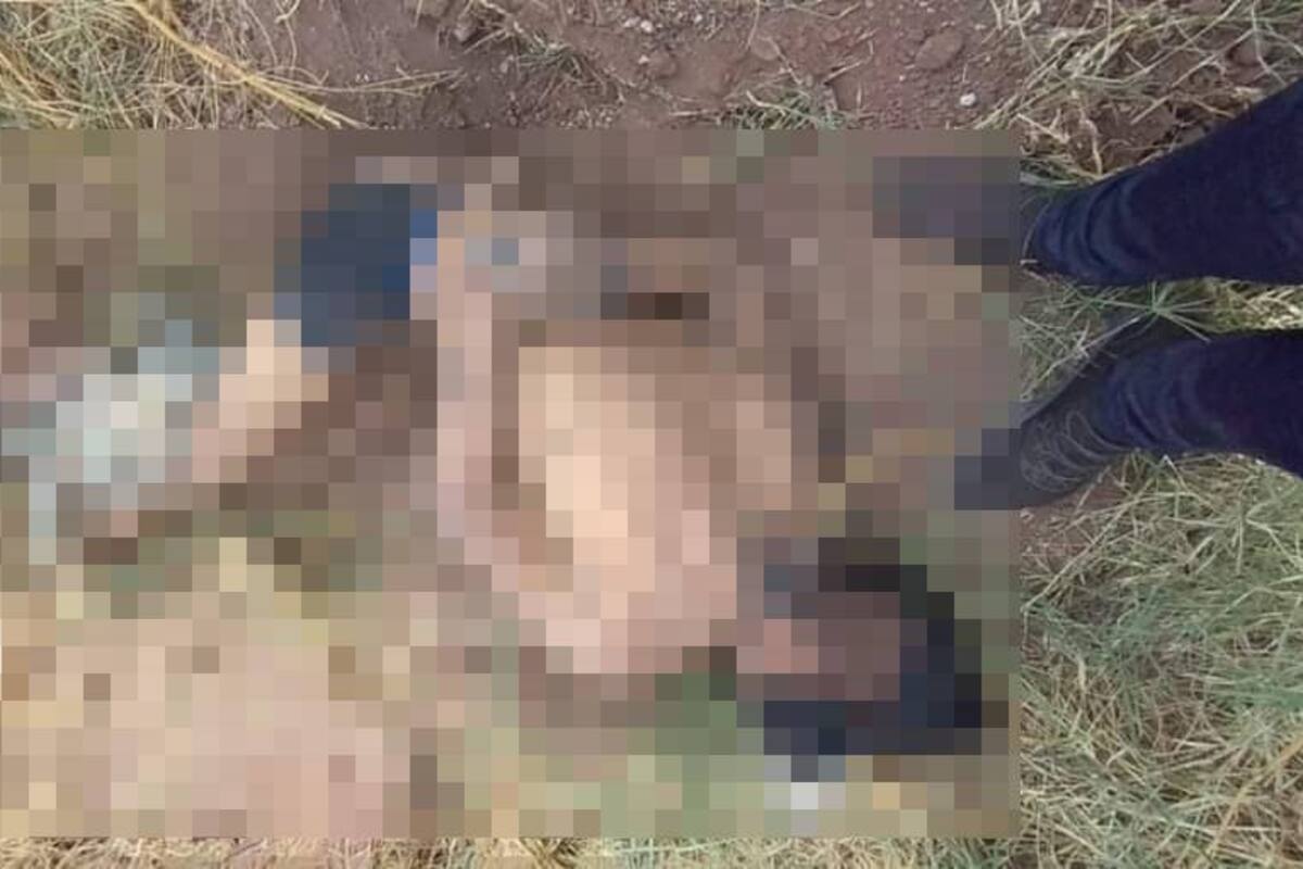 Rastreadoras de CO hallan cuerpo torturado y atado