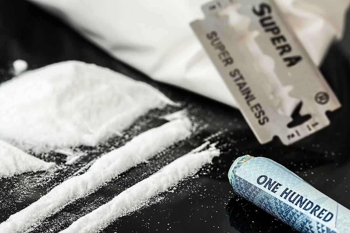 Moscas alimentadas con cocaína podrían ayudar al desarrollo de tratamiento para adicción en humanos