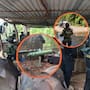 Más de 7.8 toneladas y 25,800 litros de sustancias y precursores químicos fueron asegurados en Guerrero, luego de que fuerzas federales localizaran tres laboratorios clandestinos utilizados para producir metanfetamina