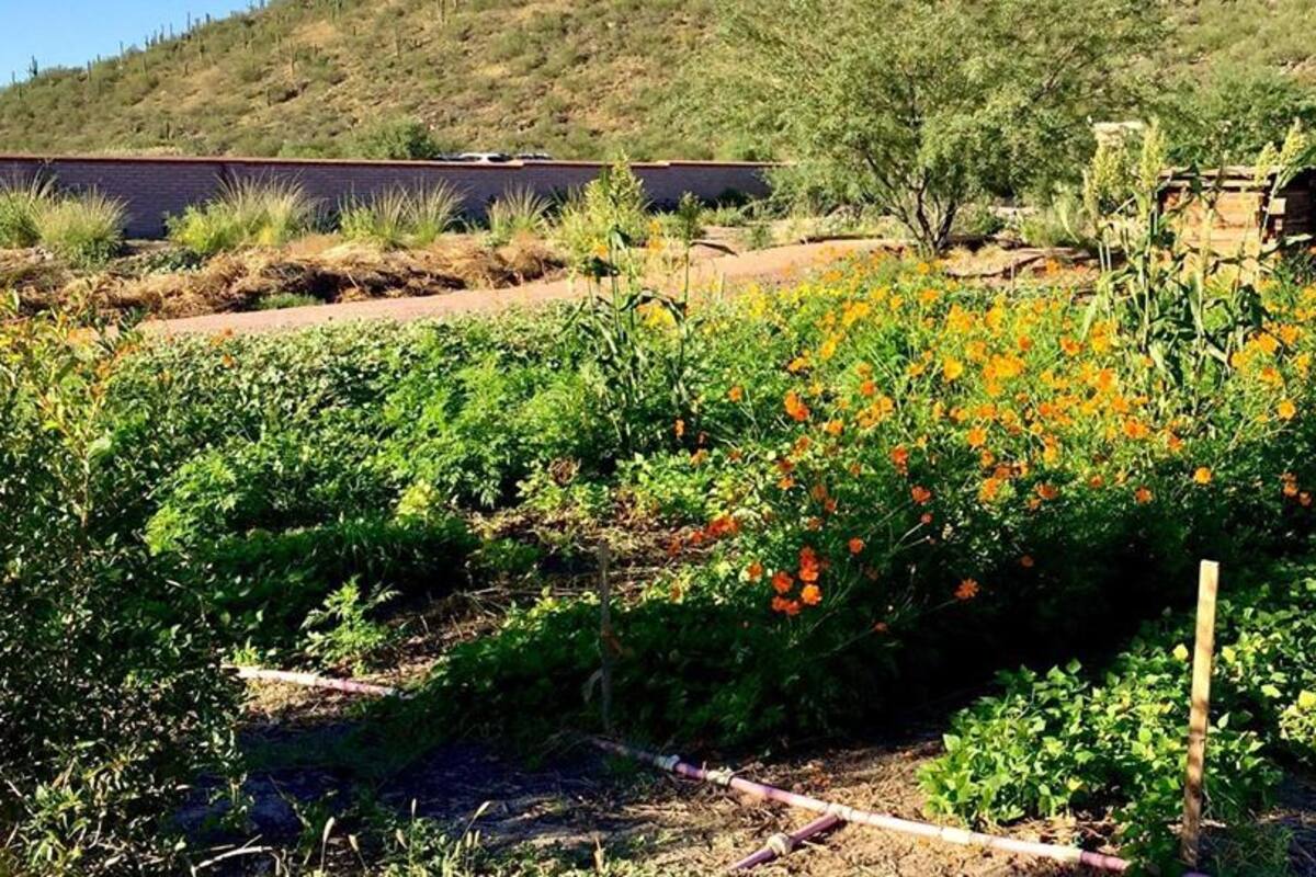 Nuevos miembros para Visit Tucson