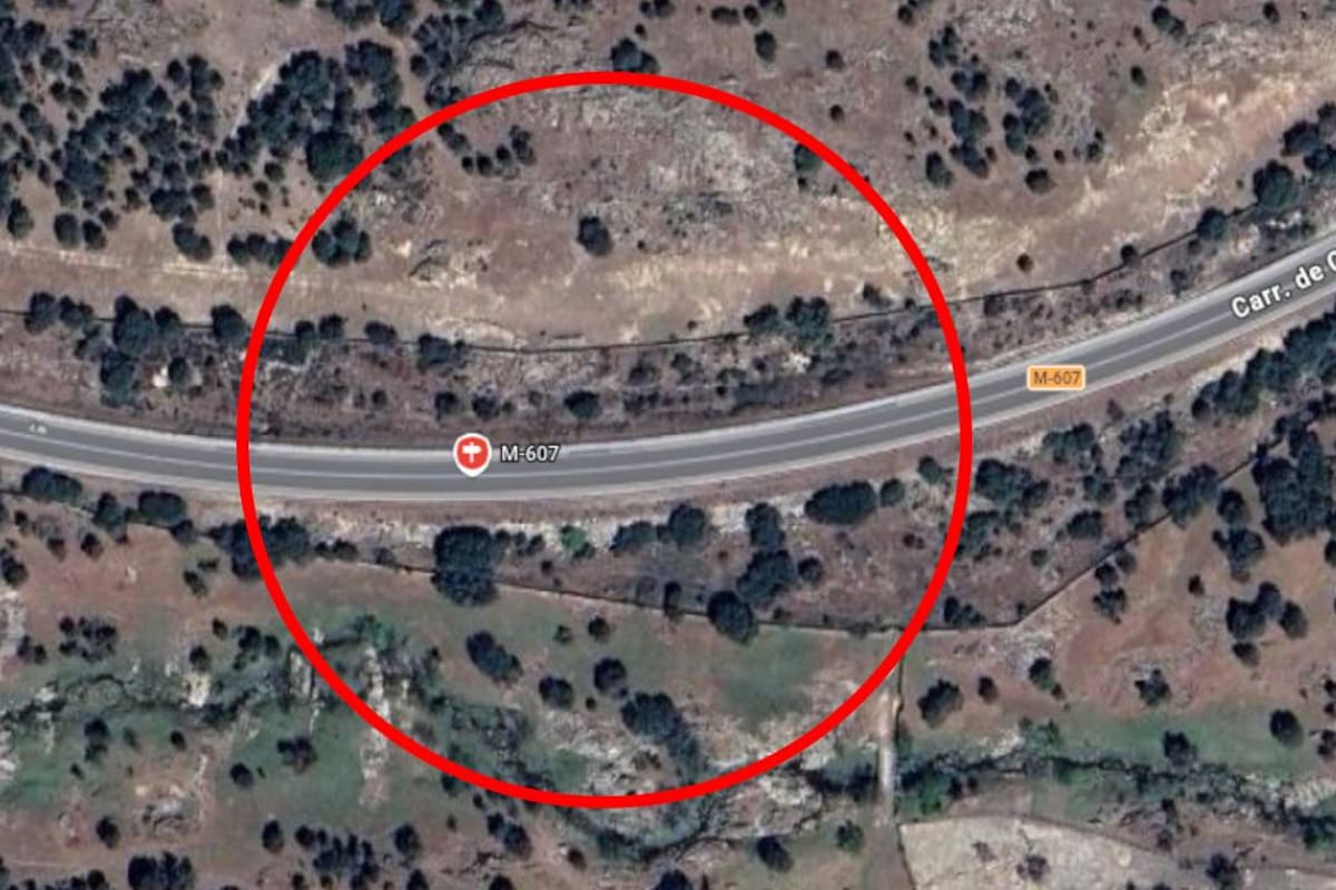 España tendrá el primer ‘puente verde’ que no estará cubierto de asfalto sino de tierra fertil