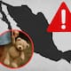 Por qué México aparece entre los países con mayor violencia sexual infantil, según OPS y Unicef