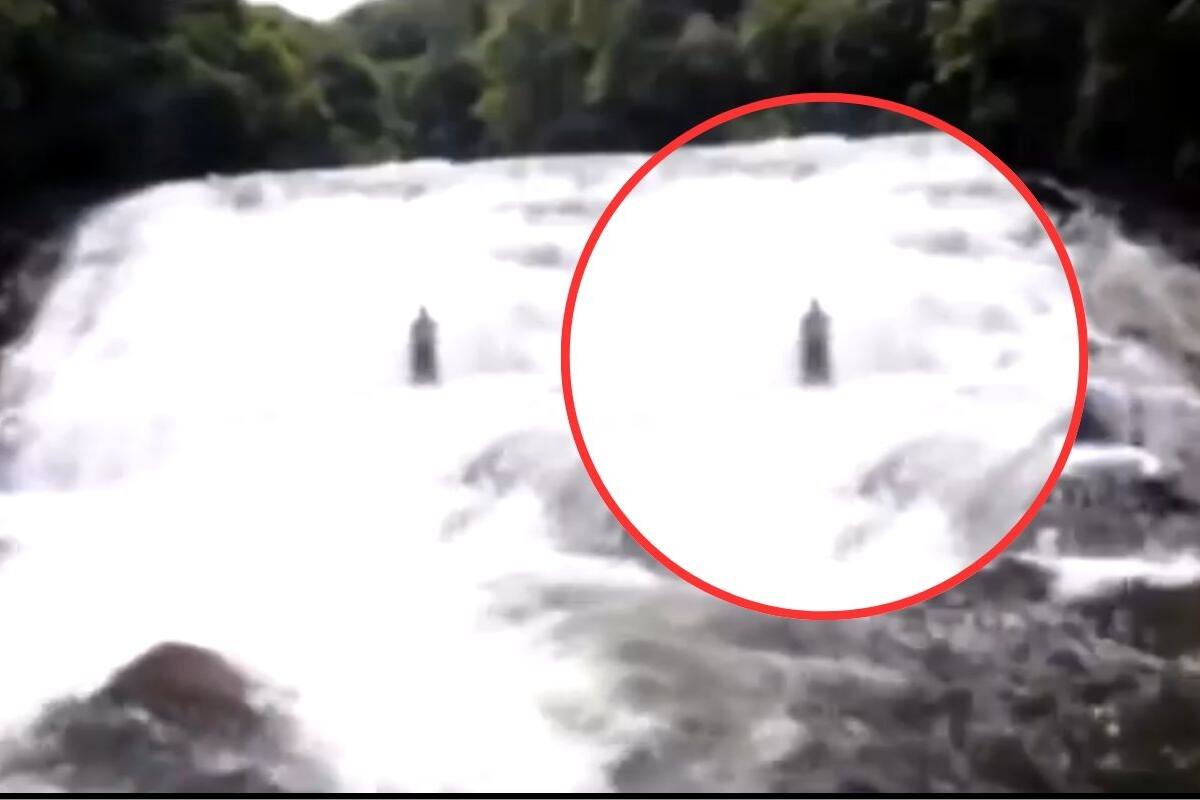 VIDEO de extraño ser en cascadas de Brasil causa sensación en redes