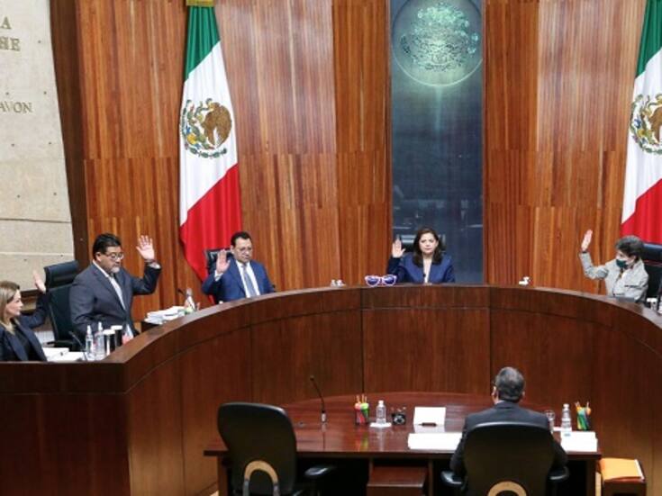 Tribunal Electoral revisará vacantes por inelegibilidad en elección judicial