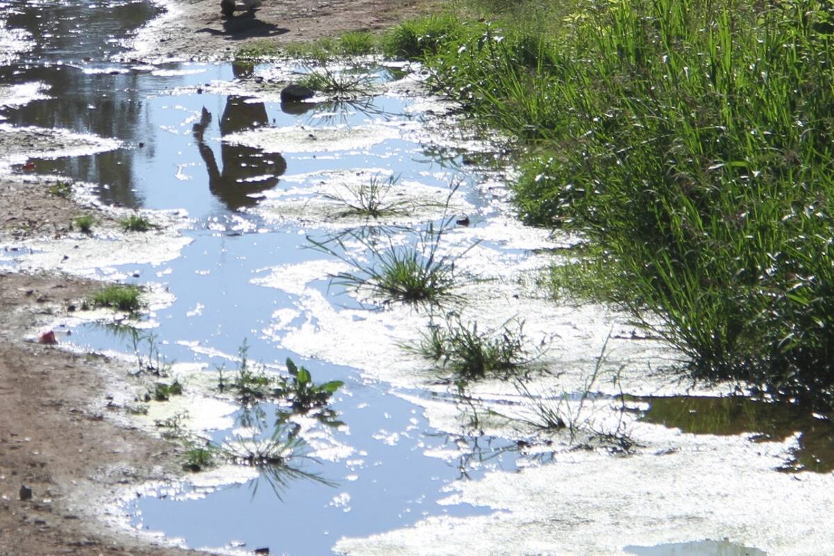 Multan con 7 mdp a empresas 'sucias'