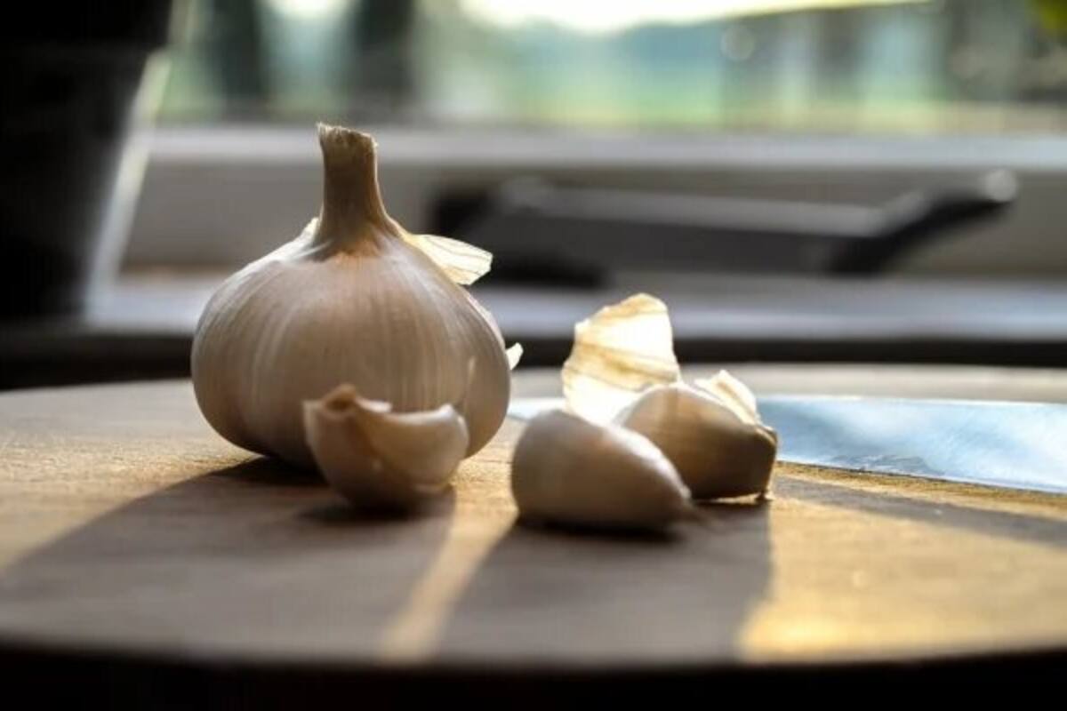 Conoce los beneficios de comer ajo