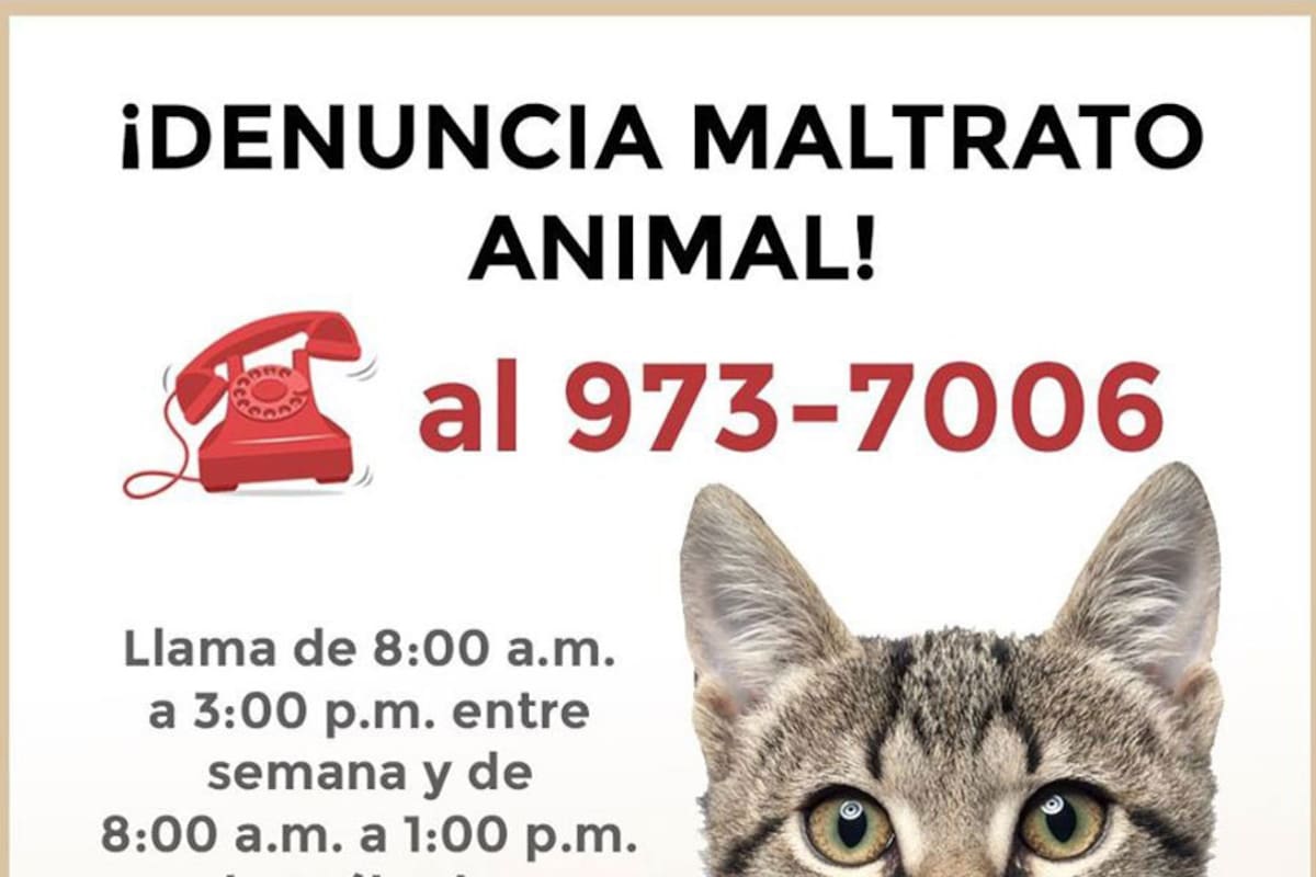 Atiende Control Animal Municipal quejas y denuncias de maltrato