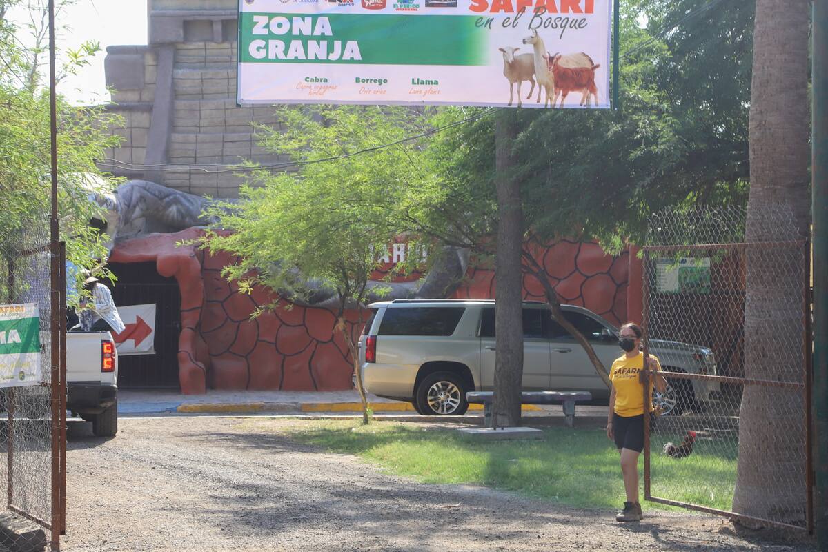 Disfrutan mexicalenses del Safari en el bosque de la ciudad