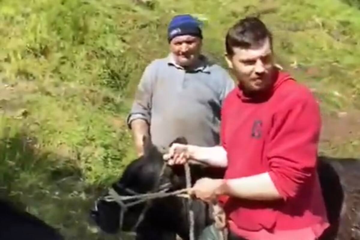 Militares rescatan con un helicóptero a una vaca que llevaba atrapada cinco días en un barranco
