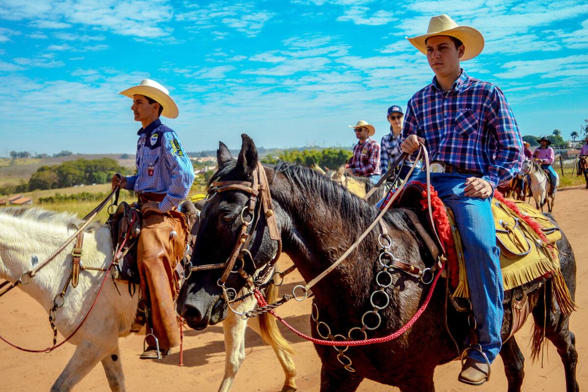 Agreden con machete a jinete y a su caballo en pleno desfile