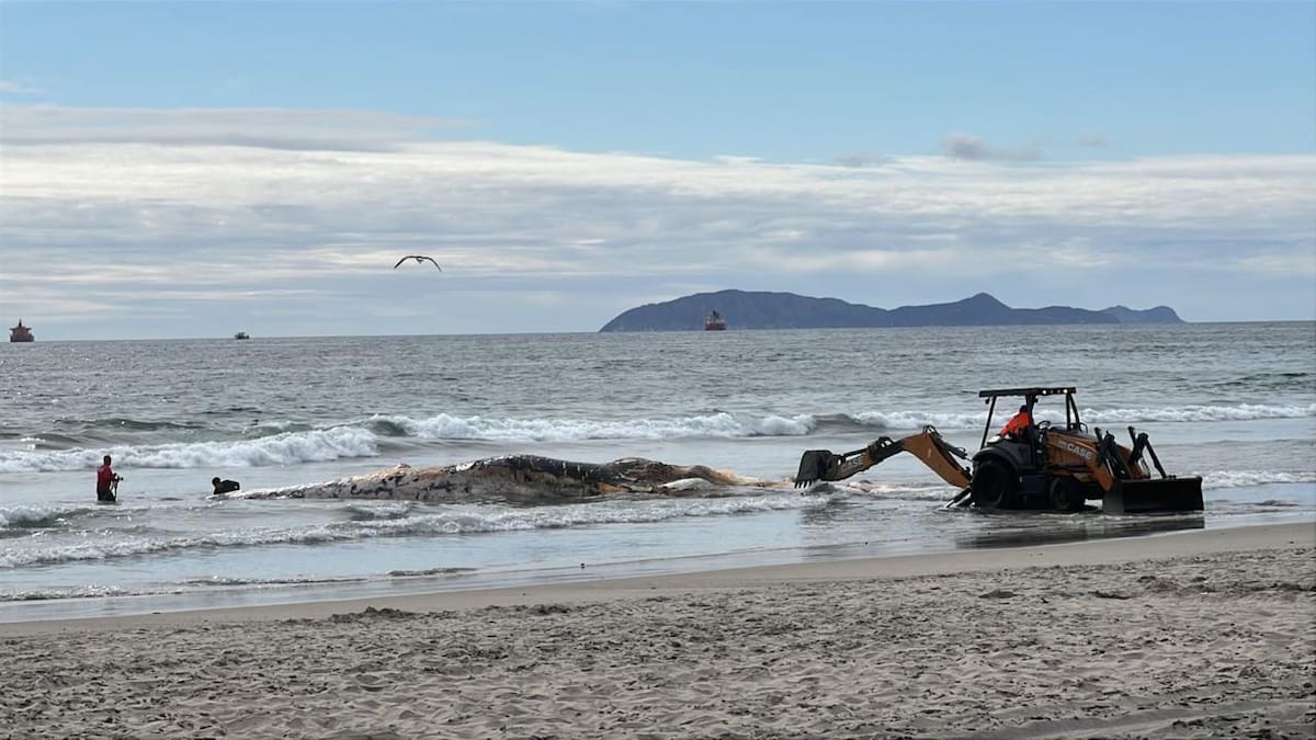 Foto: Carmen Gutiérrez