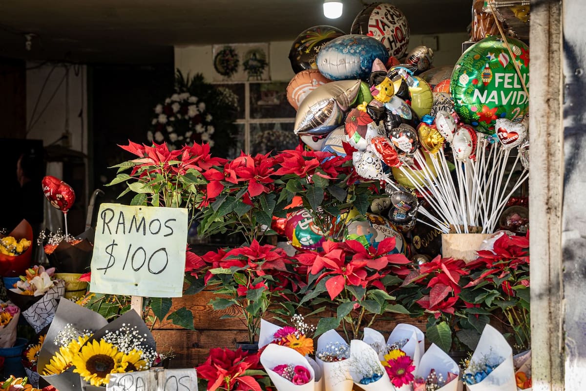 Comerciantes de flores enfrentan desabasto y bajas ventas rumbo a Navidad