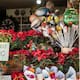 Comerciantes de flores enfrentan desabasto y bajas ventas rumbo a Navidad
