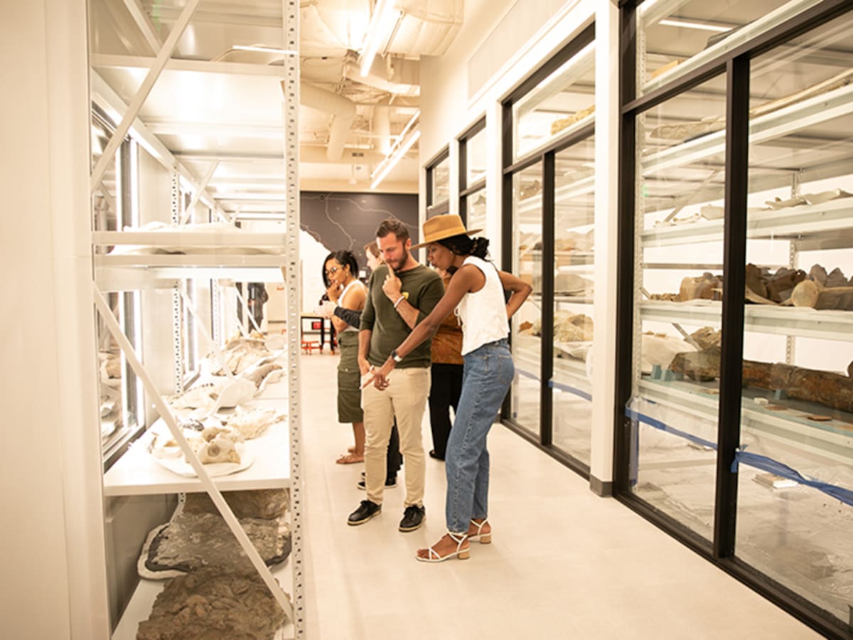 El 20 de febrero, el recinto en Balboa Park abrirá de 17:00 a 23:00 horas con acceso a exhibiciones, fósiles y terraza con ambiente nocturno. Foto: Cortesía