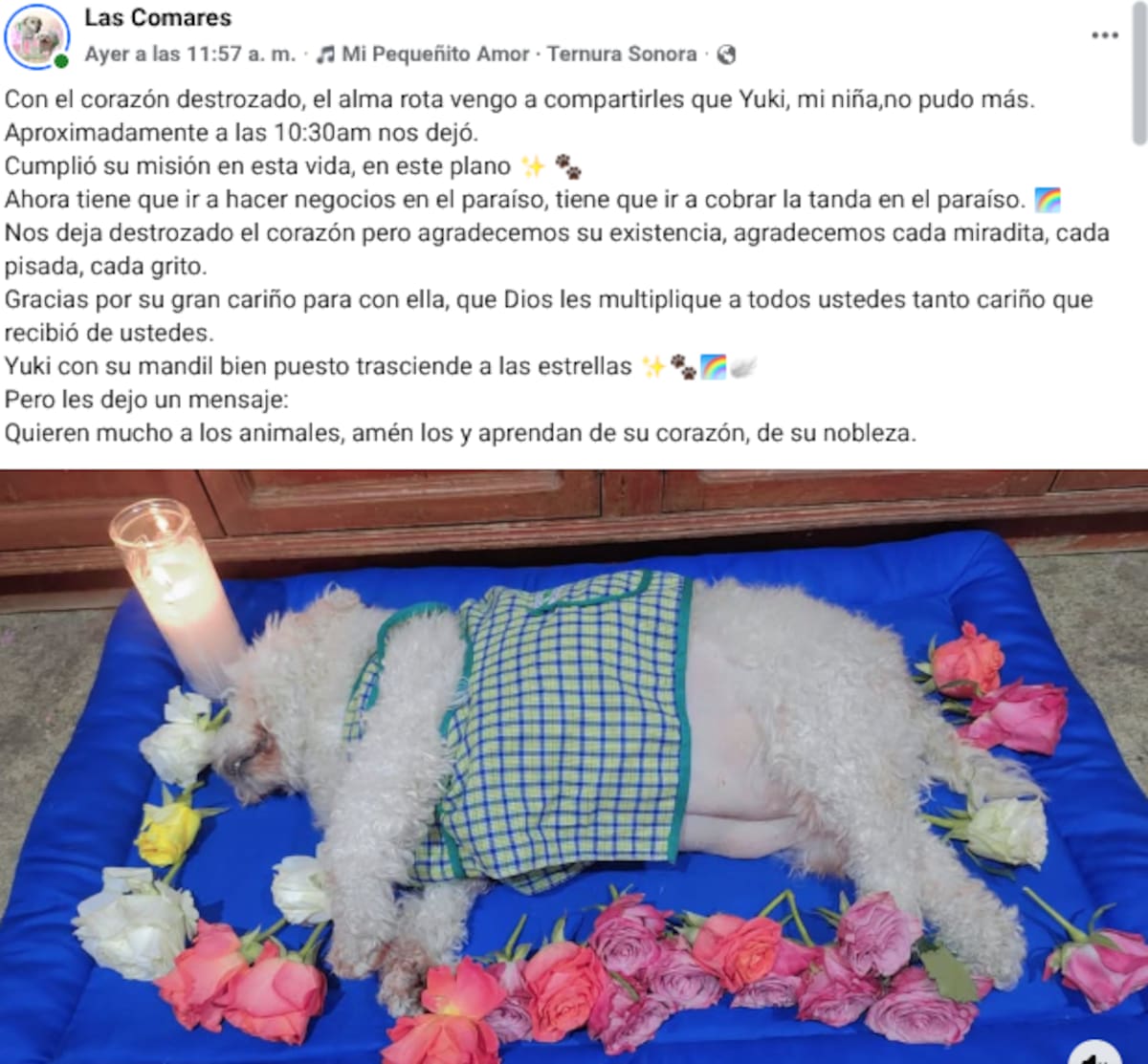 Facebook: Las Comares