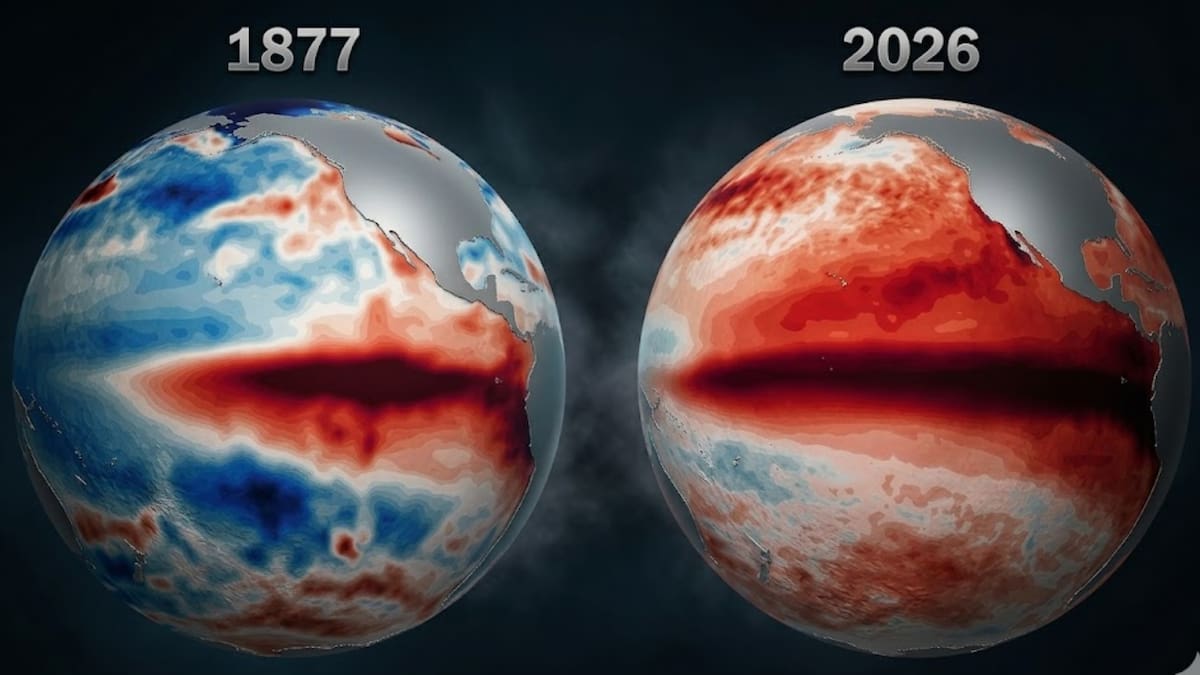 El fenómeno climático que hace 150 años contribuyó a la muerte de más de 50 millones de personas vuelve a preocupar a los científicos por lo que podría ocurrir en los próximos meses