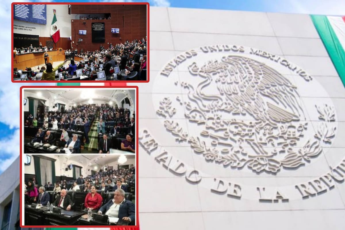 ¿Qué sigue para que sea completamente aprobada la Reforma al Poder Judicial?