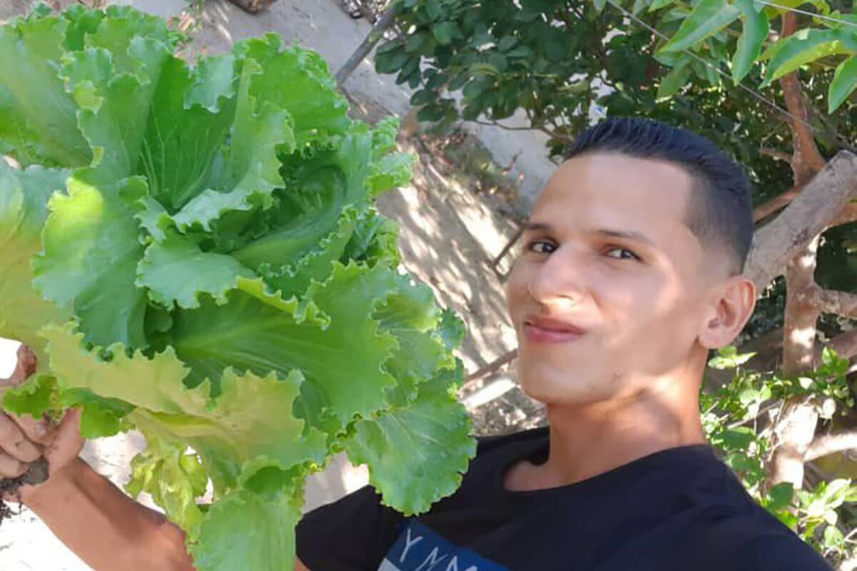 'Tiktoker' se hace viral enseñando a sembrar vegetales en casa