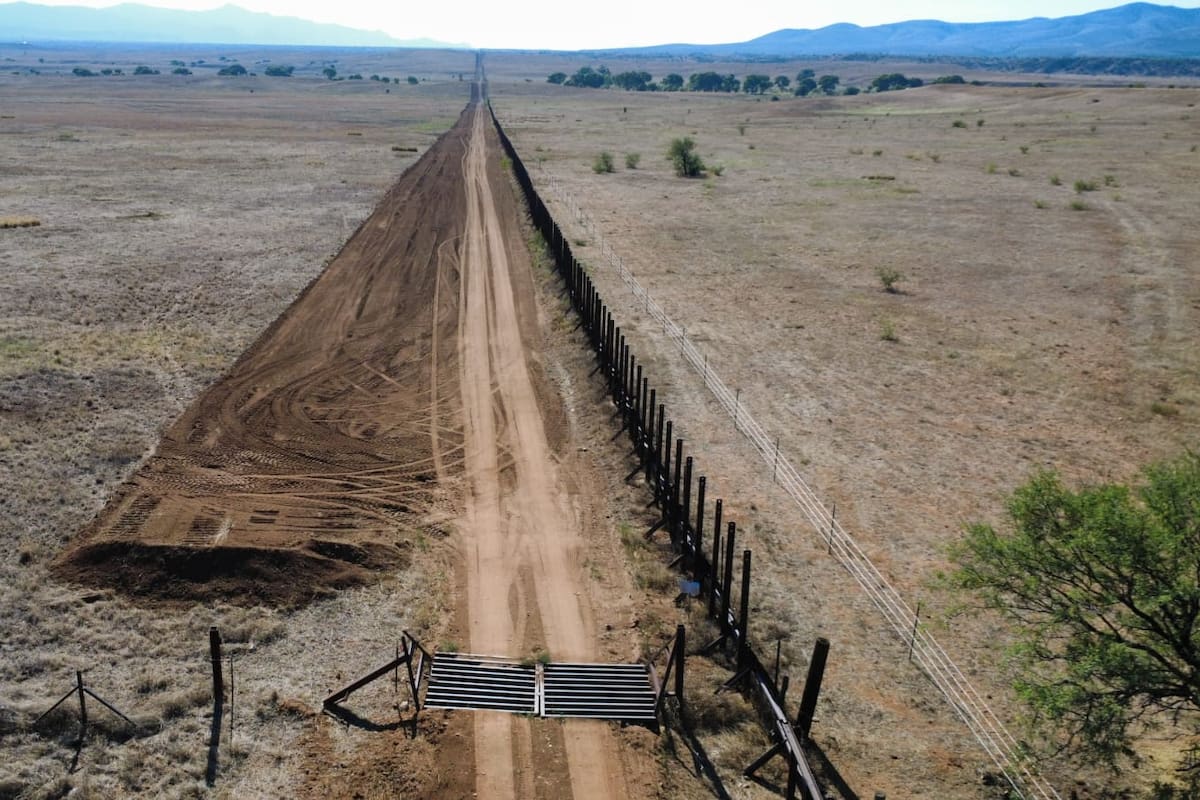 Derriban legendarios álamos por construcción de muro fronterizo en Santa Cruz