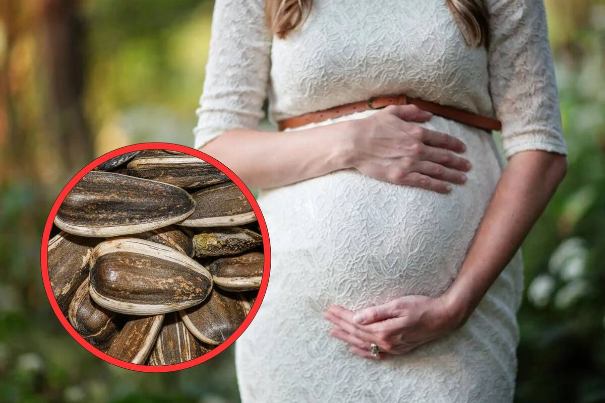 Las semillas de girasol ayudan a prevenir problemas durante el embarazo