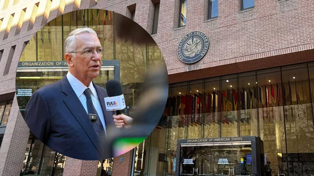 Los acreedores incluso solicitaron a una corte estadounidense ampliar la investigación sobre un préstamo que solicitó y afirmaron que Grupo Salinas habría trasladado activos relevantes a una subsidiaria creada recientemente. | Foto: Especial /Grupo Salinas