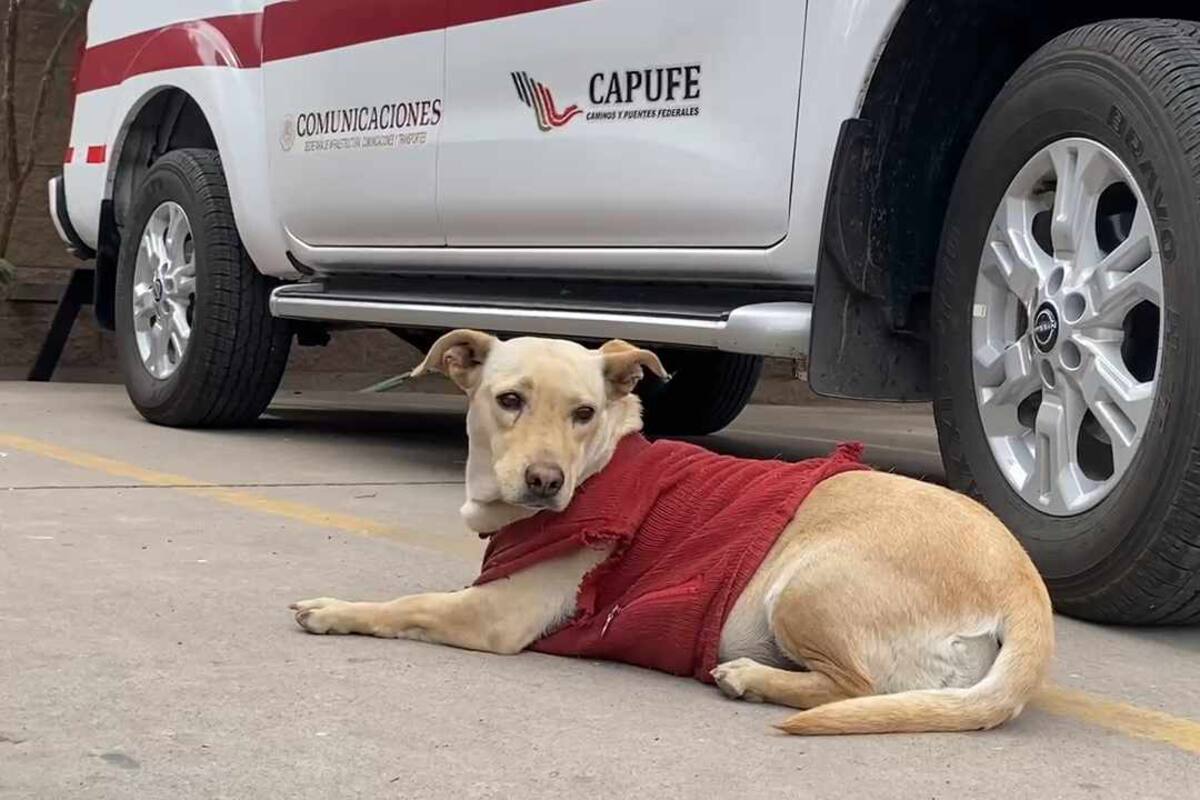 Es “Juanita” la guardiana de la caseta de peaje de Esperanza