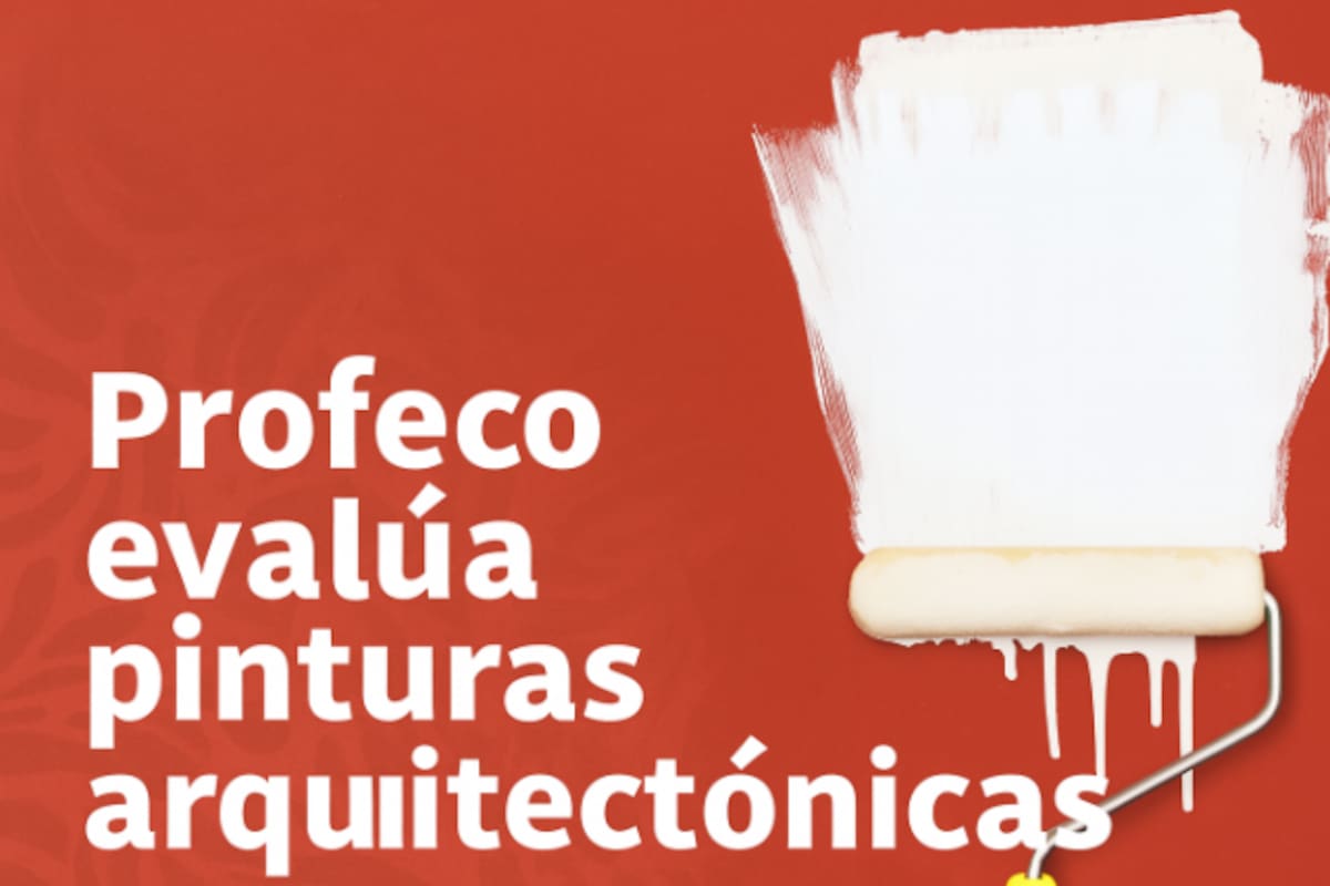 Profeco destapa cuáles pinturas arquitectónicas sí rinden y cuáles se desprenden con facilidad tras evaluar 19 marcas en color blanco mate