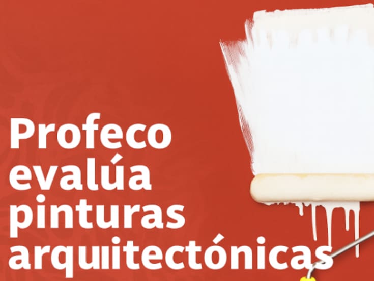 Profeco destapa cuáles pinturas arquitectónicas sí rinden y cuáles se desprenden con facilidad tras evaluar 19 marcas en color blanco mate