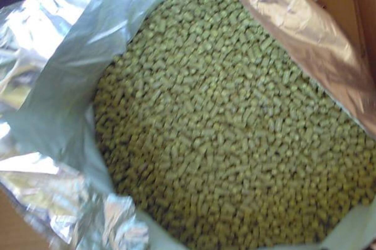 Aseguran 10 kilos de mariguana en el Aeropuerto de Tijuana