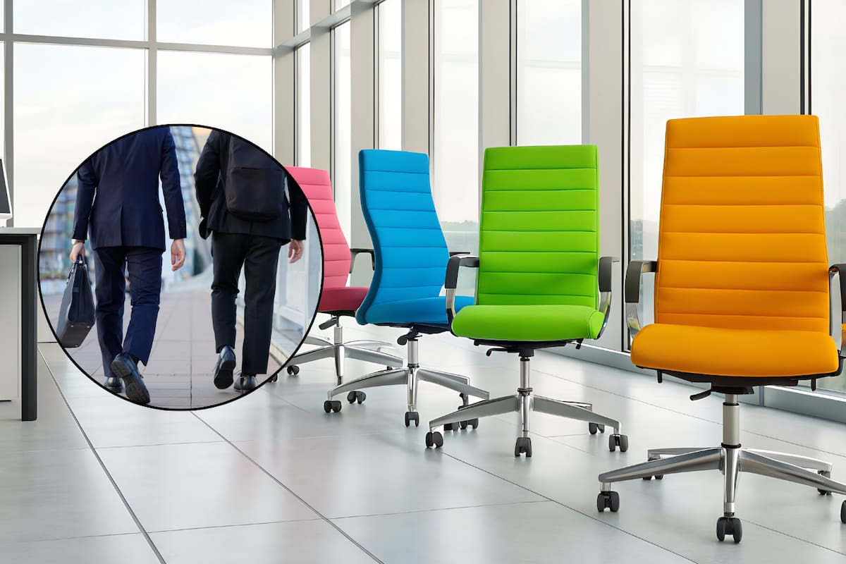 Ley Silla ya es obligatoria en México: cuándo aplica, multas y dónde denunciar incumplimientos