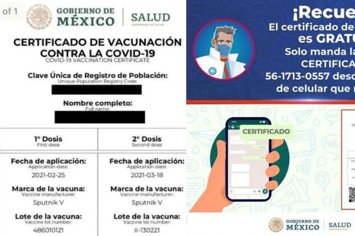 Certificado de vacunación Covid-19: Obténlo así para ingresar a establecimientos