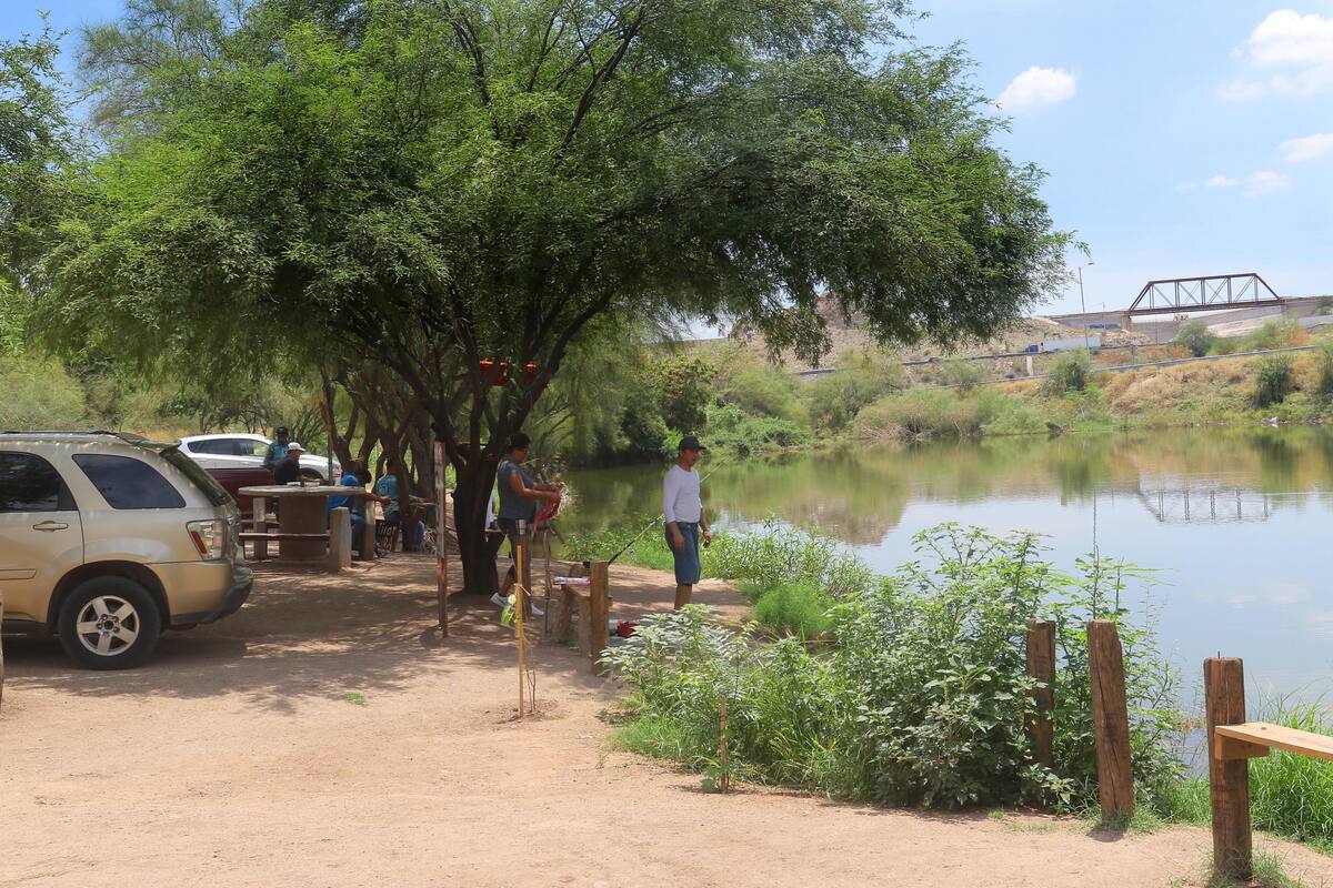 Humedal de La Sauceda espacio de conservación