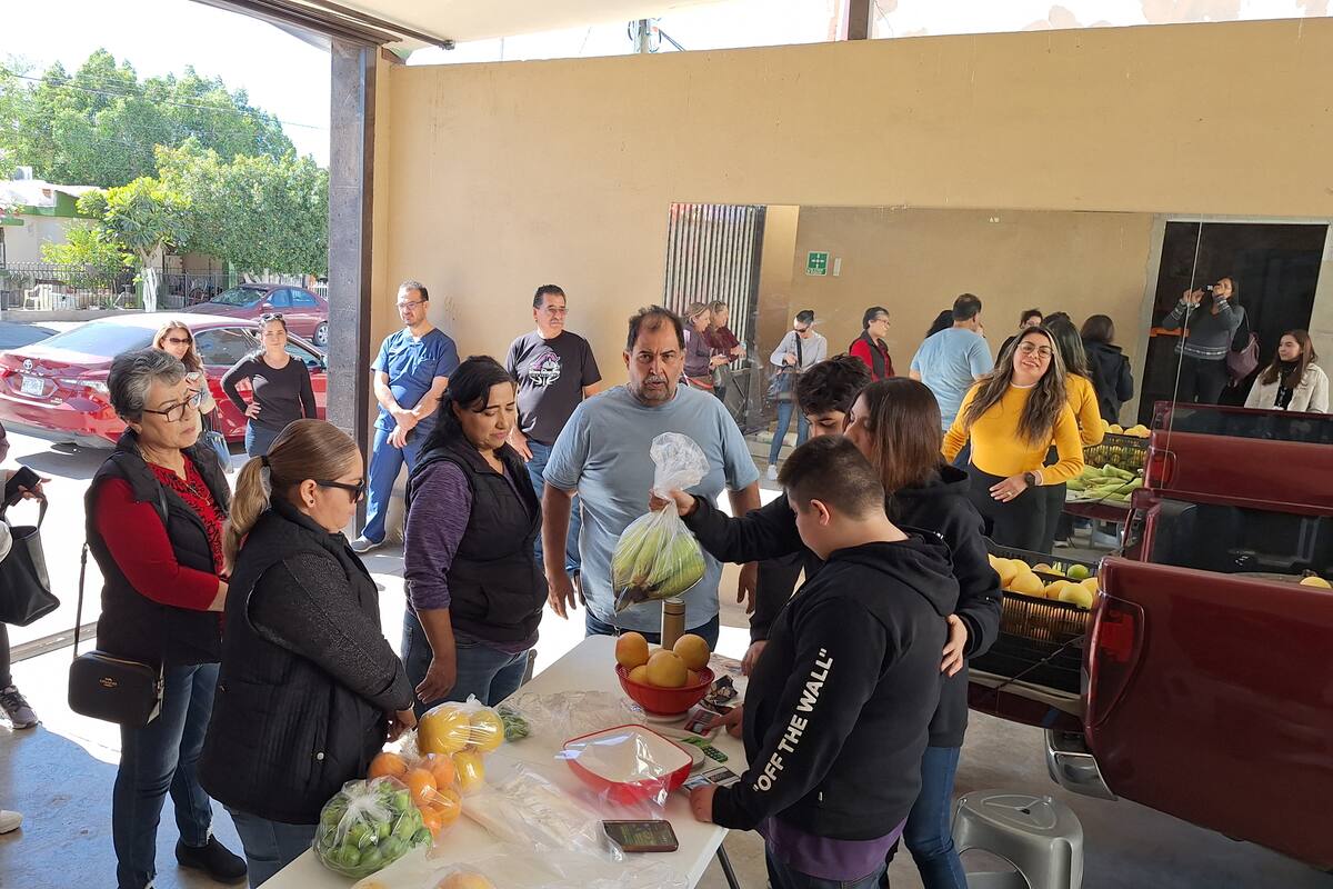 Jóvenes Down y autistas cultivan y venden frutas cítricas en Hermosillo