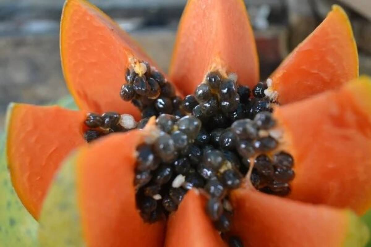Beneficios de desayunar papaya esta cuarentena
