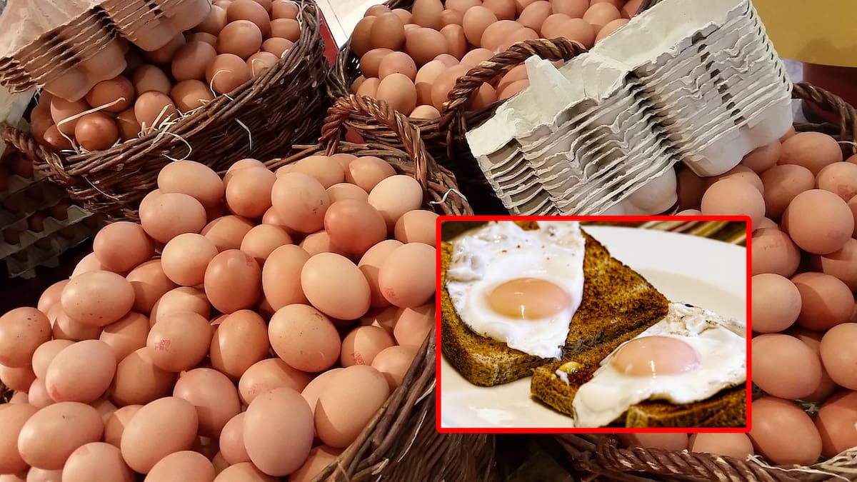 El brote de gripe aviar ha causado un aumento histórico en los precios de los huevos, con Oregon entre los estados más golpeados.