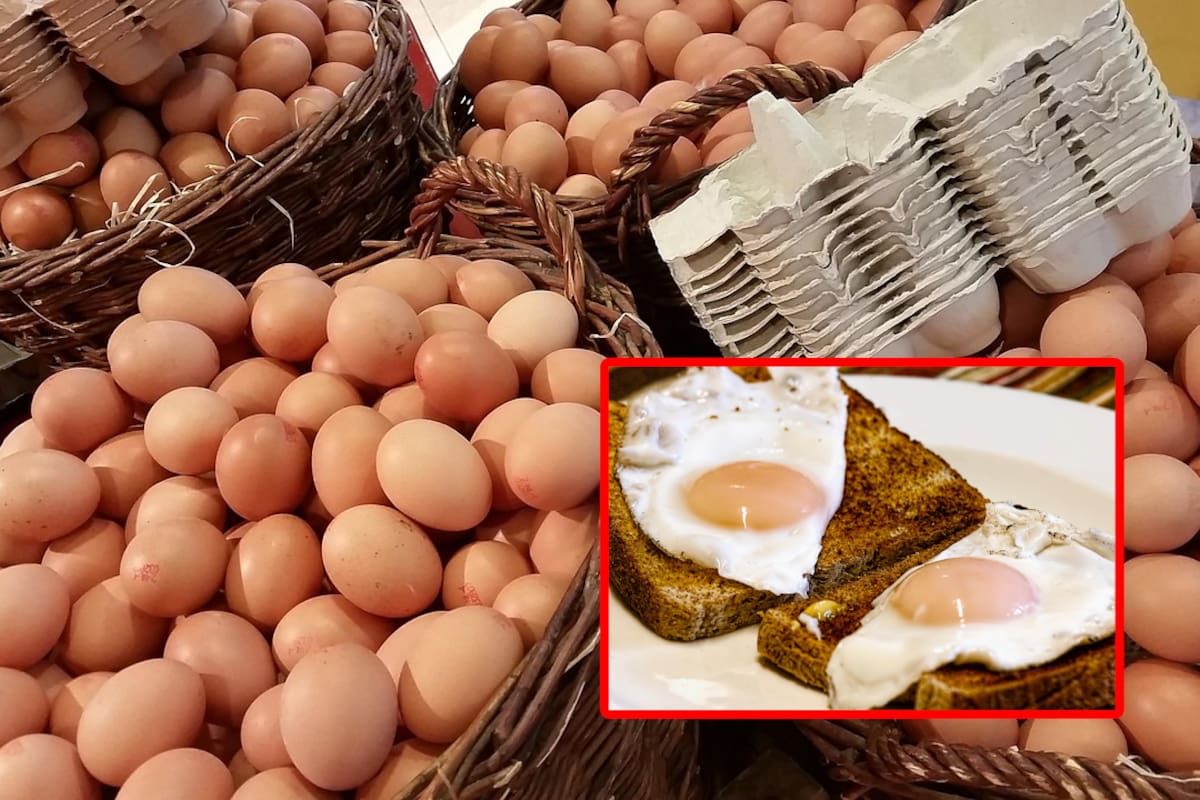 Alza en los precios del huevo en EU y el sacrificio de millones de gallinas; restaurantes alistan aumentos: ¿Qué está pasando?