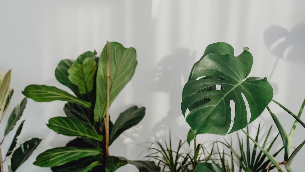 Las paredes lisas quedan atrás: cinco tendencias en decoración que marcarán 2026 | Foto: Especial (canva)