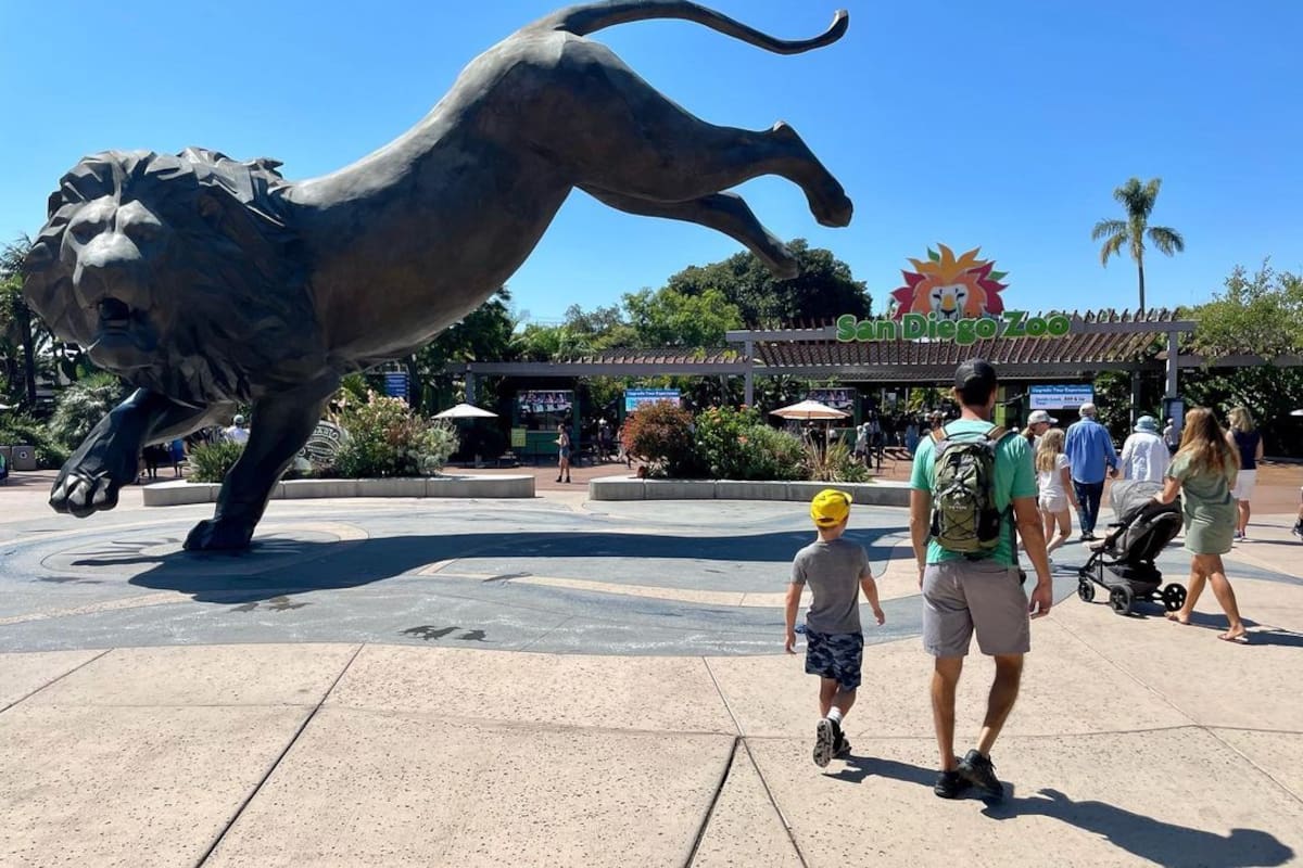Niños accederán gratis al Zoo de San Diego y Safari Park