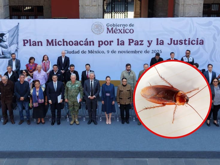 Plan Michoacán de Claudia Sheinbaum traerá un “efecto cucaracha”, advierten expertos al señalar que “es mejor que nada”, pero provocará que los grupos del crimen organizado solo se desplacen a otros lugares ante la presencia de las fuerzas federales