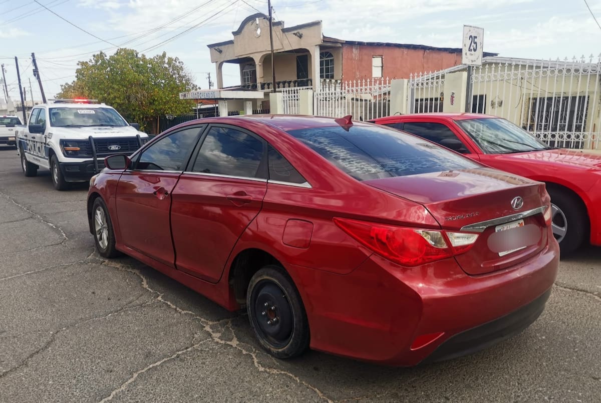 Foto: Cortesía