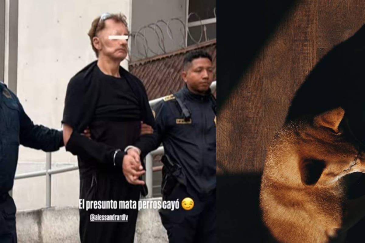 El presunto “mata perros” cayó, reveló Alessandra Rojo de la Vega, tras caso de envenenamiento de perros en Parque España