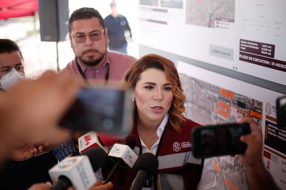 Sí hubo denuncia hacia el director del Instituto de la Juventud: Marina del Pilar