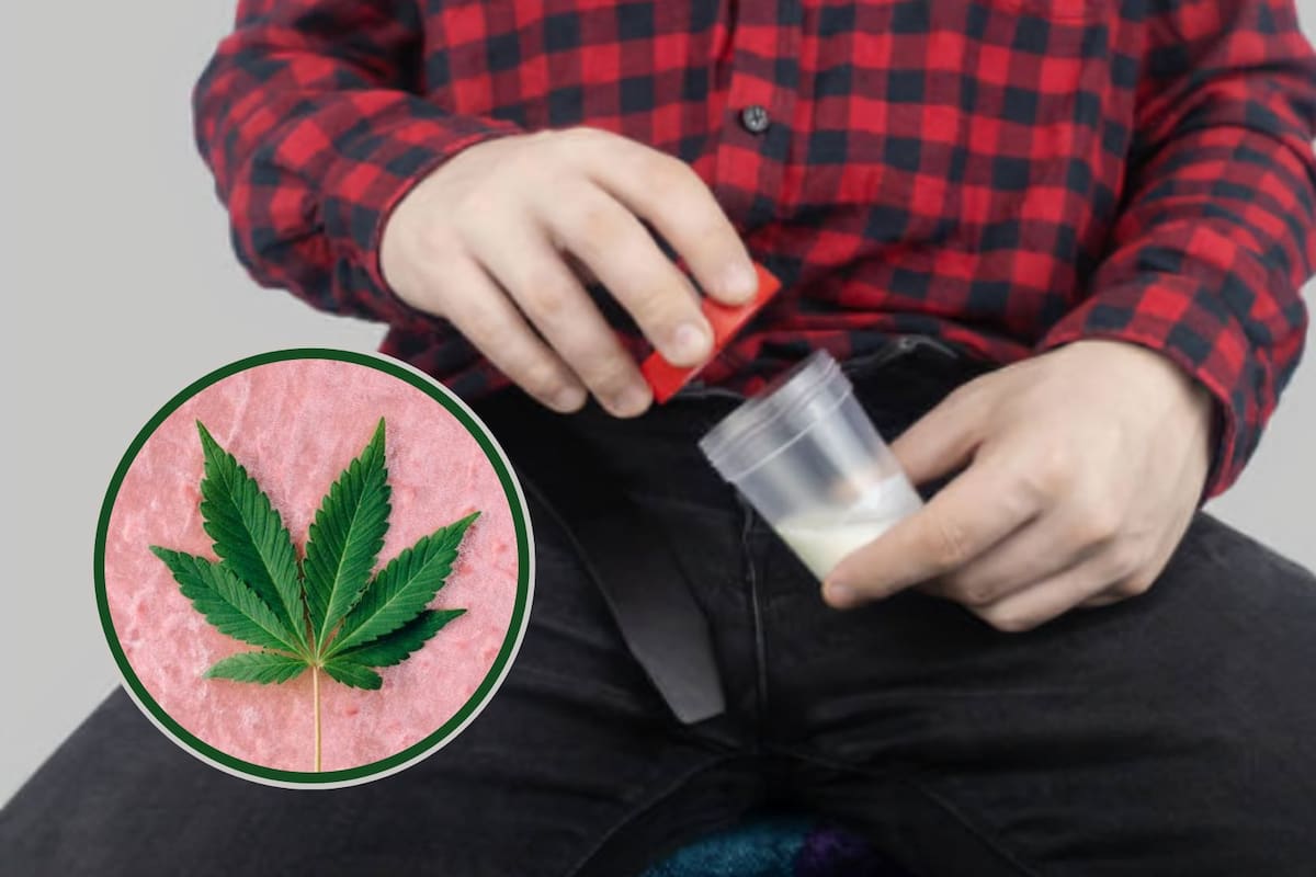 Fumar marihuana podría dañar la calidad del esperma, advierten expertos
