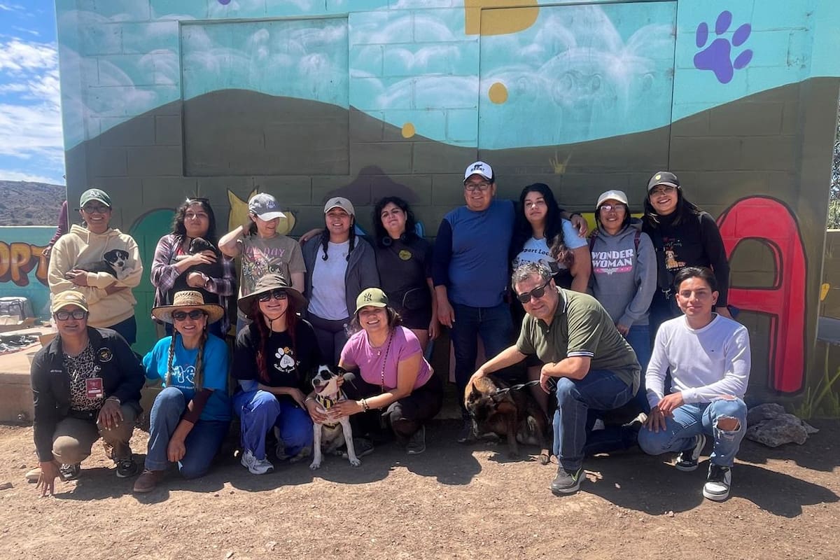 Perrera municipal de Rosarito sigue avanzando gracias al trabajo del voluntariado