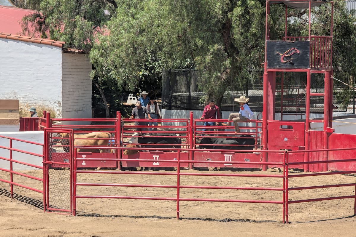 Banda, sierreño, mariachi y norteño en “Duelo de tradiciones”