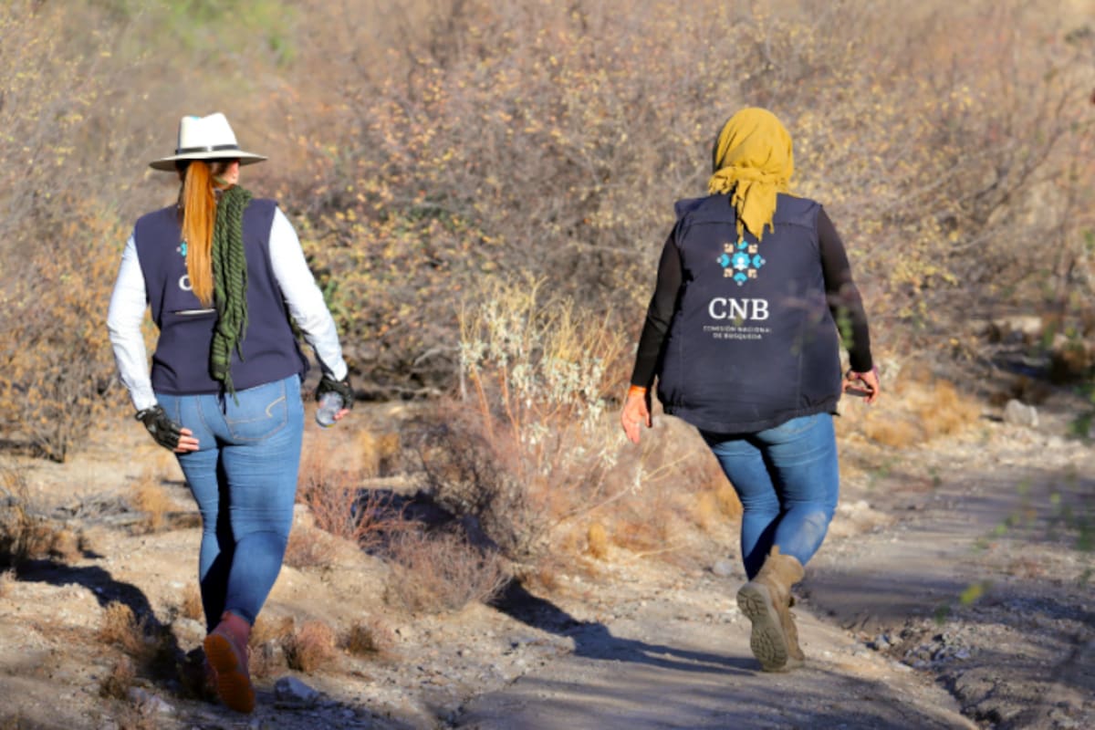 Hay 120 colectivos de madres buscadoras y familiares que buscan a sus desaparecidos en el País: CNB